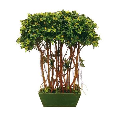 China Factory Wholesale 110cm Eco - Friendly Stunning Artificial Boxwood Multi Trunks for sale