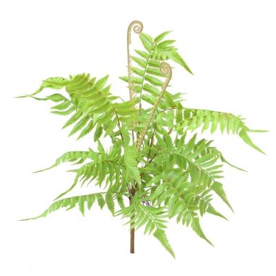 China Wholesale Eco-friendly Decorative Artificial Boston Fern Bush For Plant Green Artificial Wall Decor Wall Fern Plant Bush for sale