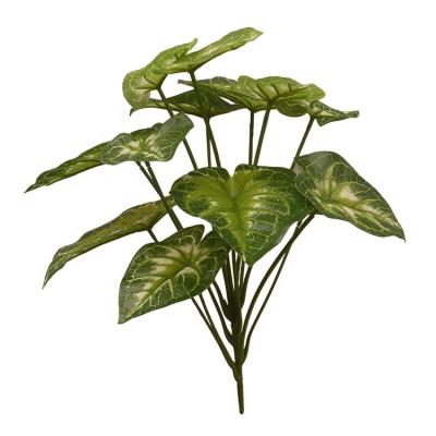 China Manufacturer Wholesale 13 Leaves Eco-friendly Artificial Caladium Bush Small Green Plant For Home Decoration for sale