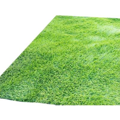 China Eco-friendly Occasional Lawn Decoration Environmental Protection Artificial Green Grass Mats for sale