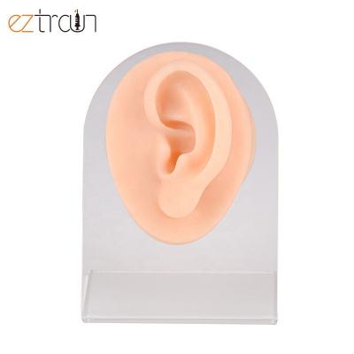 China Piercing/Injection/Suture/Display Silicone Ear Display Model, Ear Piercing Model for sale