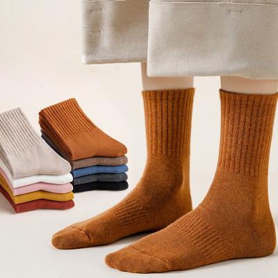 China Antibacterial Women Spring Antibacterial Sports Crew Socks Autumn Cotton Anti Pilling Casual Socks for sale