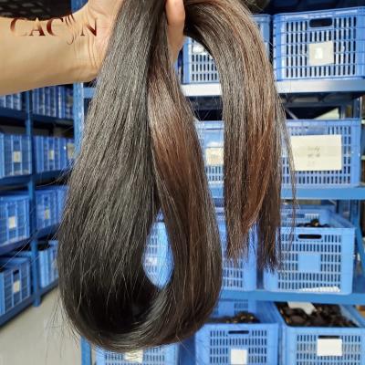 China Vietnam Seller Wholesale Unprocessed Raw Hair CURLY STRAIGHT, Raw Hair Best Sellers, 100% Cuticle Aligned Virgin Hair Bundles for sale