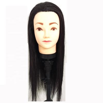 China Cheap Price 24 Inch 26 Inch Hairdresser Synthetic Hair Styling Cutting Hairdressing Training Model Mannequin Training Head for sale