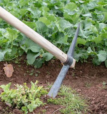 China Farm Tools Carbon Steel Classic Wooden Farm Handle Tool Small Garden Care Plant Pickaxe for sale