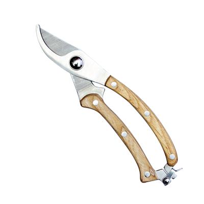 China Garden Pruning New Design Garden Tool Wood Handle Sharp Stainless Steel Blade Garden Shears for sale