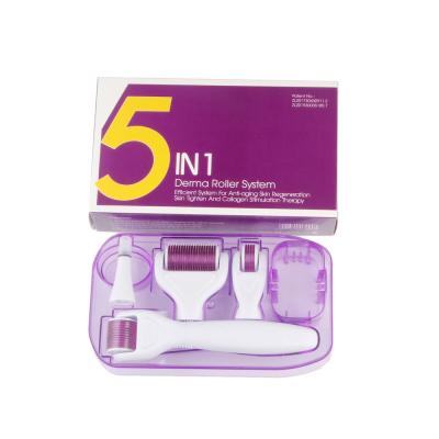 China Anti-Puffiness 5 in 1 Micro Needle Derma Roller 0.25mm Kit for Face and Body - 12/300/720/1200 Titanium for sale