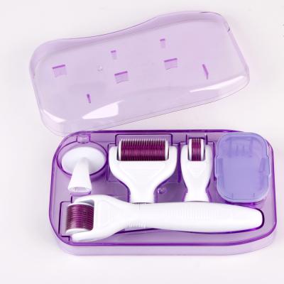 China Newest 6 in1 Anti-Puffiness Roller Kit 12/300/720/1200 TITANIUM Derma Micro-Teasing For Skin Care for sale