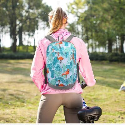 China camping & Hiking Waterproof 10L Women Sport Backpack Men Lightweight Hiking Backpack for sale