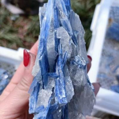 China Europe Hot Sale Rough Blue Kynite Raw Kynite Crystal Gemstone Specimen Mineral High Quality for sale