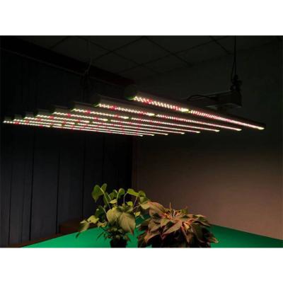 China Seed Starting Henry Professional Unit Farm 2000W Full Spectrum Diy 1000W Led Grow Light Wholesale for sale