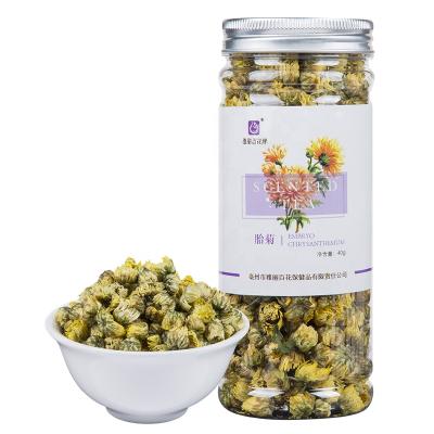 China Tea Plant Embryo Chrysanthemum Bud / Loose Supply Dried Chrysanthemum Tea for sale