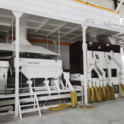 China food & Beverage Factory New Arrival High Quality Corn Seed Machine Corn Wheat Bean Cleaning Coating Machine for sale