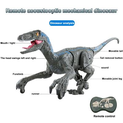 China New Style Flexible Rock Velocirap-Toys Dinosaur Remote Control For Kids With Colorful Box for sale