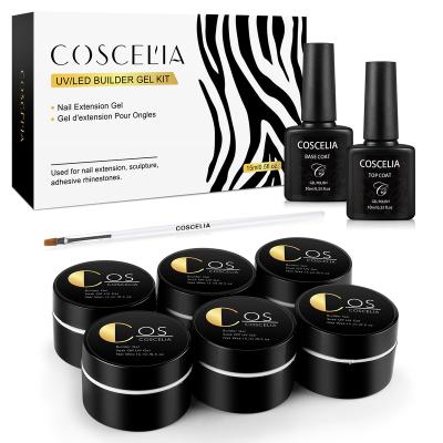 China Nail Art Beauty COSCELIA Professional Clear 6pcs Colors Base UV Top Coat Gel 10g Kit Construction Gel Wholesale Extension Glue and UV Brush Set for sale