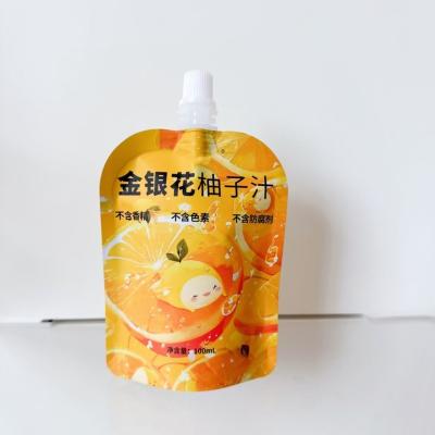 China Barrier Factory Wholesale Custom Printed Stand Up Bag For Reusable Squeeze Jelly Juice Packaging bags for sale