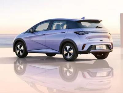 China 2024 Byd Dolphin Electric Car 5 Door 5 Seater EV Long Range 420km Energy Vehicles for sale