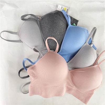 China Factory Supply Great Price Seamless Yoga Bra Padded Women Sports Bra Fitness for sale