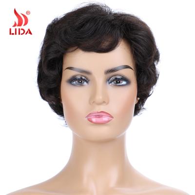 China Classic Short Curly Lida Hot Selling Indian Hair 100% Human Hair Wigs 6443MN Natural Wigs for sale