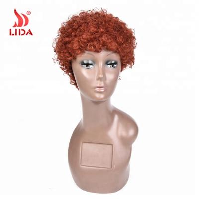 China Afro 350# Spike Wig, Brazilian Hair Lida Short Curly Hair Wigs for sale