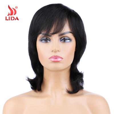 China 100% Natural Straight Lida Brazilian Wig Half Long Straight Human Hair Wigs 6222A for sale