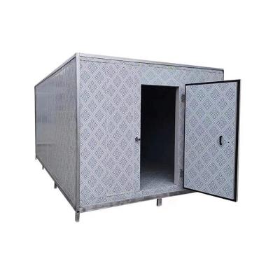 China Container Factory Price Cold Storage Room Door Swing Door Cold Storage Room Sliding Door for sale