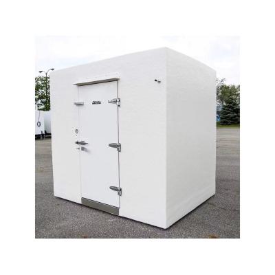 China Mid Century Great Value Cold Storage Freezer Highly Efficient Cold Storage Freezer for sale