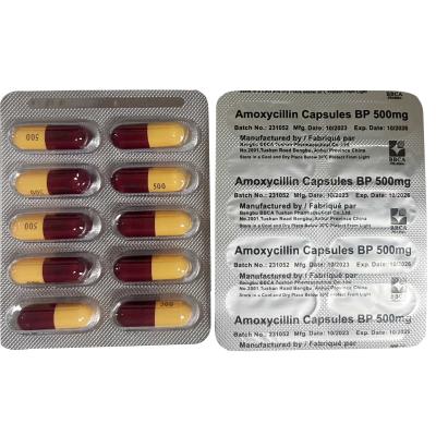 China 500 mg cápsulas de amoxicilina en polvo blanco o casi blanco 10x10 cápsulas/ caja en venta