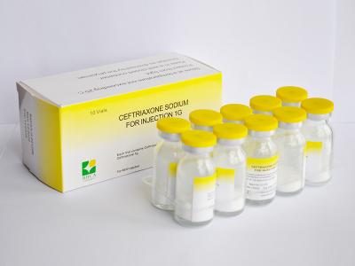 Chine Ceftriaxone poudre injectable de sodium 1 g / 0,5 g à vendre