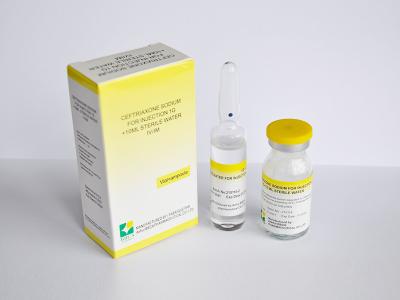 Chine Efficacité de la ceftriaxone sodique pour le traitement médical par injection à vendre