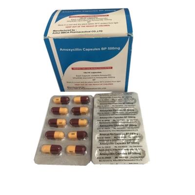 중국 Amoxicillin Pharmaceutical Capsules For Treating Bacterial Infections 판매용