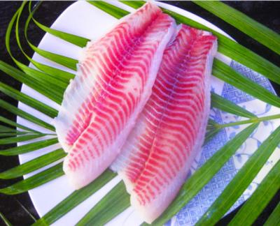 China China Good Quality FROZEN Tilapia Fish Fillet Frozen for sale