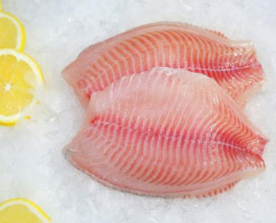 China Nutritious high quality tilapia fillet frozen tilapia fillet for wholesale for sale