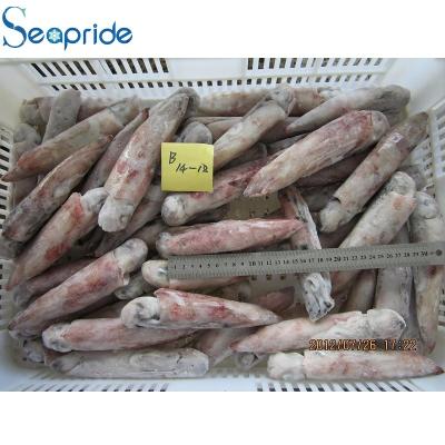 China Seafood Illex Nutritious Whole Frozen Squid for sale