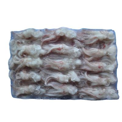 China Peru Frozen Block Squid Tentacle Nutritious Octopus Sliced for sale