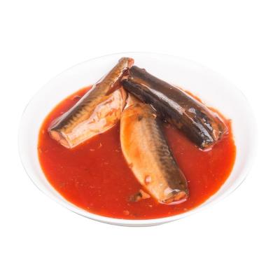 China Best Canned Brands Canned Small Mackerel Fish in Natural Oil for sale