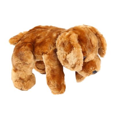 China Wholesale Plush Toy Realistic Animal Model Plush Educational Dog Stuffed Toy Plush Companion Toys Dog Factory Stock OEM for sale