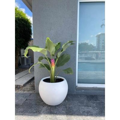 China Modern Contemporary Industrial Style Llightweight Fiberstone Sturdy Sphere Planter for sale