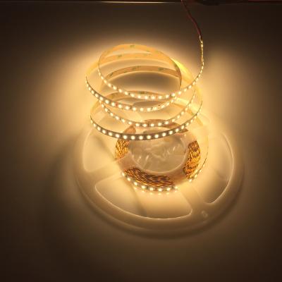 China LANDSCAPE car led strip light SMD2835 waterproof grow light flexible multicolor led strip 12v for swimming pool light for sale