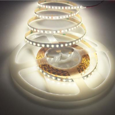 China LANDSCAPE led strip light waterproof flexible led strip light DC12V/24V SMD5050/3825/2835 IP20 IP65 IP68 for sale