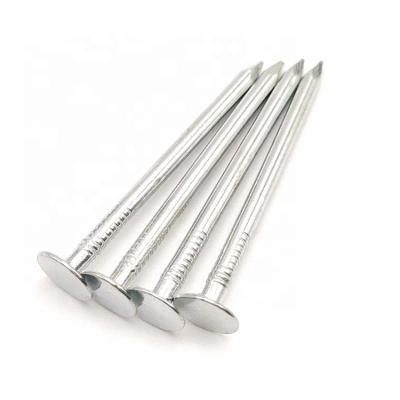 China Bright Galvanized Large Flat Steel Iron Flat Head Joint Nails for sale