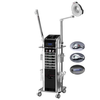 China Facial Steamer Multifunctional Beauty Equipment With Mangnifying Lamp For Beauty Shop for sale