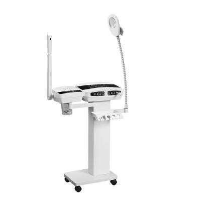 China Wood Lamp Skincare Ozone Facial Steamer , Galvanic Salon Beauty Machine for sale