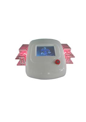 China Dual Wavelength Slimming Lipo Cavitation Machine Weight Loss With Touch Screen for sale