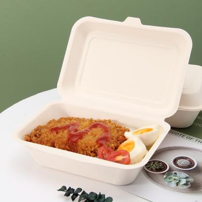 China Security Traditional Rectangle 7 Inch 5 Inch Sugar Cane Bagasse Food Lunch Packing Box Fruit Hot Dog Salad for sale