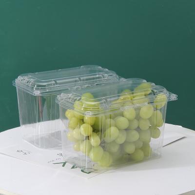 China Disposable Recyclable Custom Clear Vegetable Plastic Clamshell Box Packing Pet Salad Container With Lid for sale