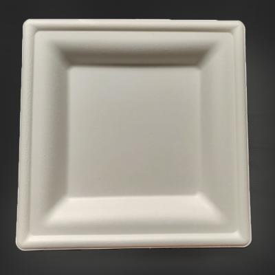 China 8 Inch Bagasse Flat Disposable Sugarcane Bagasse Rectangle Bagasse Eco White Non-Toxic Takeout Box for sale