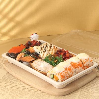 China Original Disposable Rectangular Food Box Container Sugar Cane Sushi Plant Viable Food Tray With Lid for sale