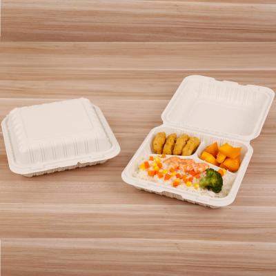 China Eco - Friendly Biodegradable Disposable Food Container Plastic for sale