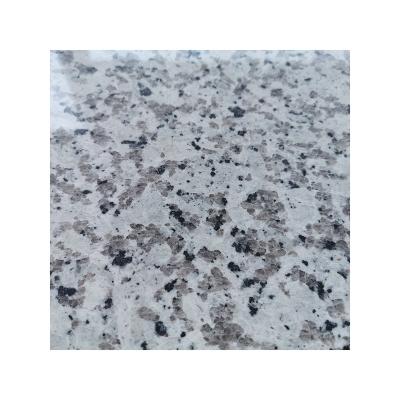 China New Patterns Custom Made Modern Gray Granite Ceramic Tiles For Kitchen Floor Tiles 600*600mm for sale